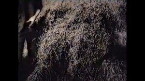 Крестьянка 1902 рождения.