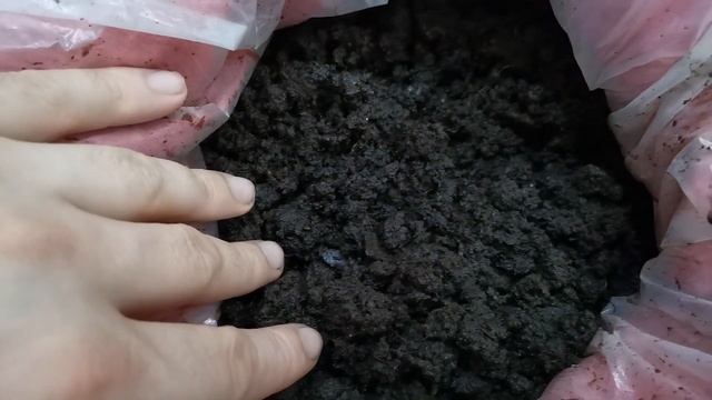 Выгружаем биогумус (вермикомпост) из вермикомпостера. Как применять вермикомпост? смотреть онлайн