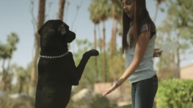 Макс и Зоя (2023) Трейлер на русском смотреть онлайн