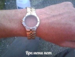 здравствуйте