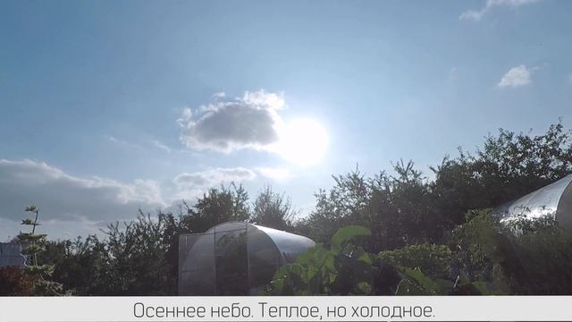 Осенний виноград. Сбор Джусая. смотреть онлайн