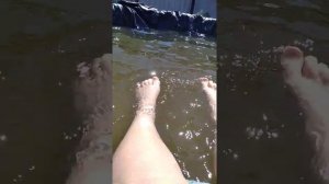 КУПАЕМСЯ В БАССЕЙНЕ