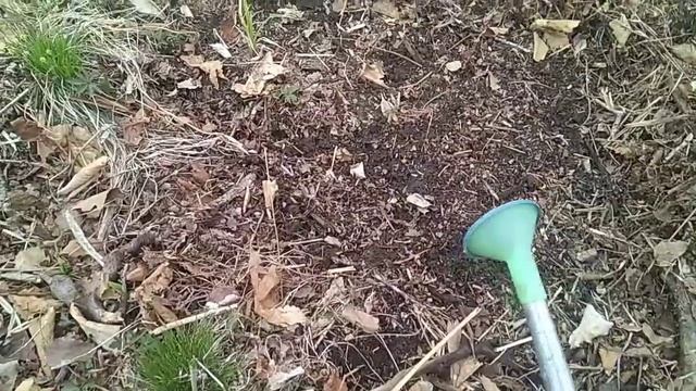 Эксперимент по добыче дождевых червей) смотреть онлайн