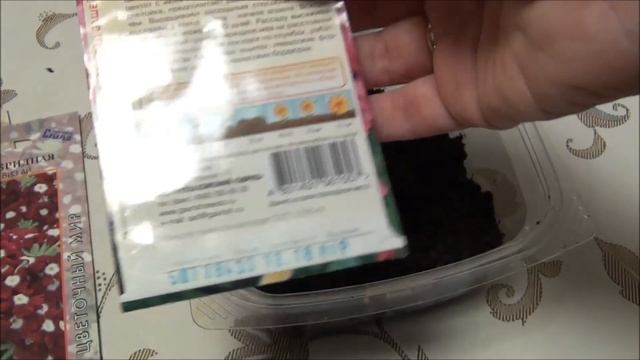 ВЕРБЕНА: посев семян на рассаду. Советы от DelaOgorodnieTV смотреть онлайн