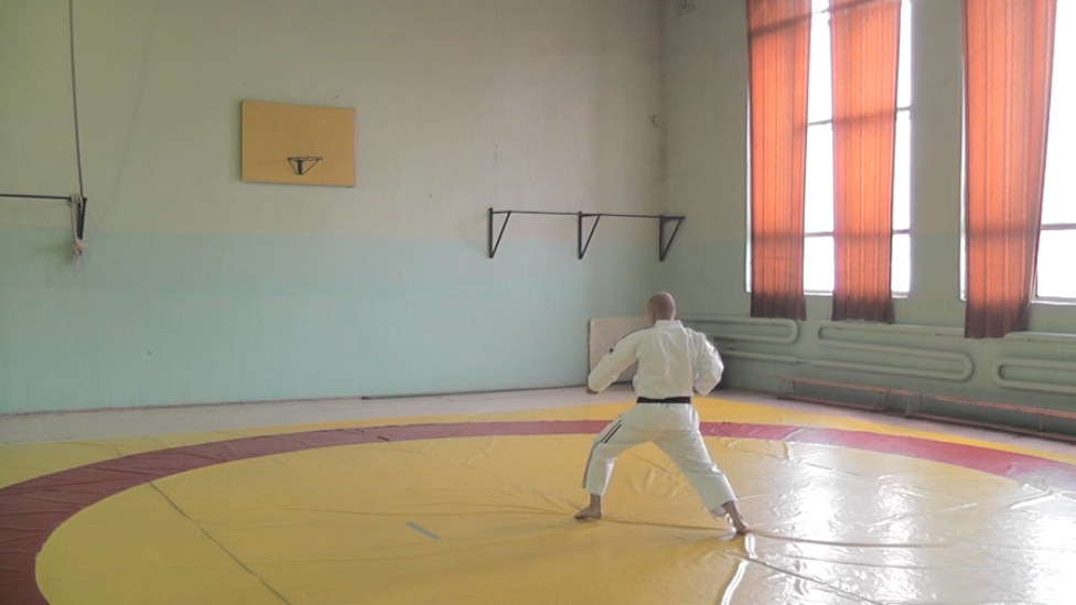 Ката Те Ваза Когеки Дай Санкё. Вид сзади (Kata Dai Sankyo. Back View)