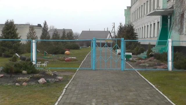 Гомельская область Петриковский район а/г Птичь в ноябре