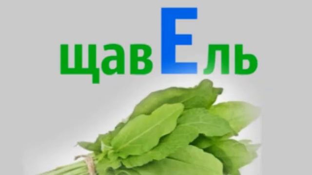 щАвель или щавЕль 2 минуты русского