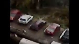 Метель в Архангельске 2