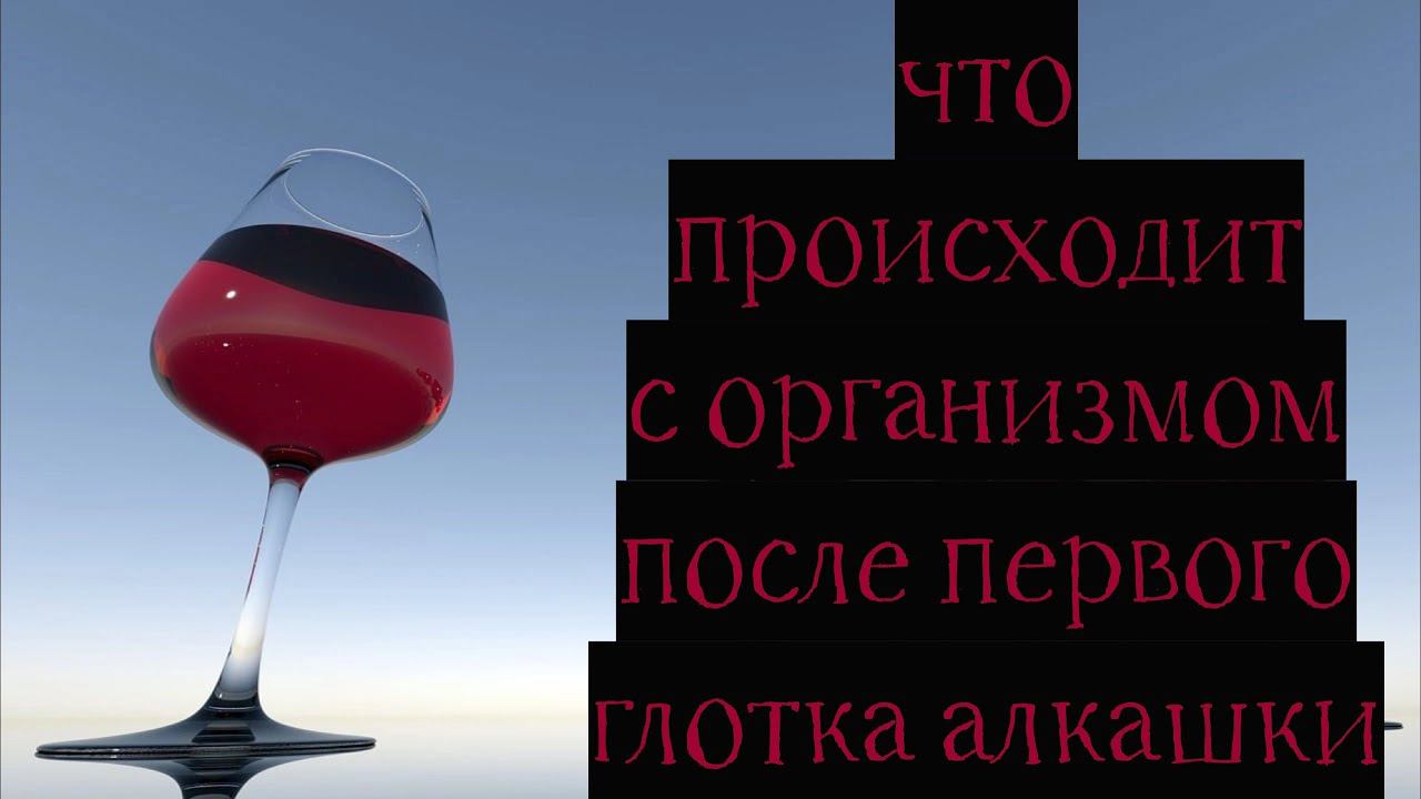 Что происходит с организмом, после первого глотка алкоголя? смотреть онлайн