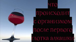 Что происходит с организмом, после первого глотка алкоголя?