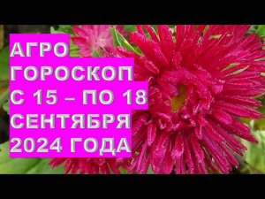 Агрогороскоп с 15 по 18 сентября 2024 года Agrohoroscope from September 15 to September 18, 2024