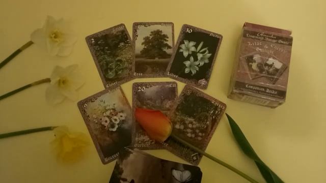 Природные карты Ленорман. Сад Клевер Букет Дерево Лилии смотреть онлайн