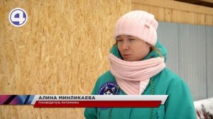 6-летнюю девочку покусала за лицо собака во время экскурсии