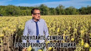 ?Семена гибриды подсолнечника ? Засухоустойчивые семена в Регион Защиты Растений?