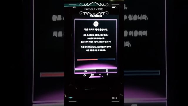 (13분꿀팁) 초보오너, 에스링크 S-Link 업데이트 초간편 꿀팁(내돈내산) R-Link update tips for beginners