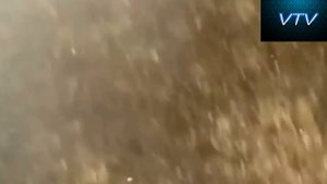 Попробуй не заплакать от смеха!