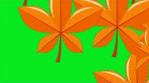 ФУТАЖ  ОСЕННИЕ ЛИСТЬЯ  ХРОМАКЕЙ НА ЗЕЛЕНОМ ФОНЕ