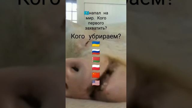 Казахстан хочет захватить страну но какую?? #мем