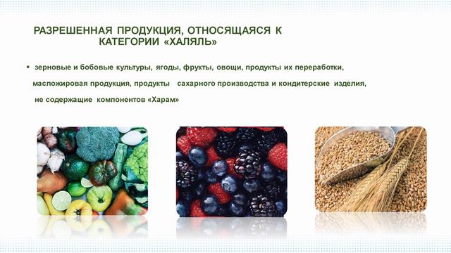 Перспективы рынка халяльной плодоовощной продукции смотреть онлайн