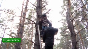 эковоонтеры шушенское центр туризма и экологии школьное лесничество