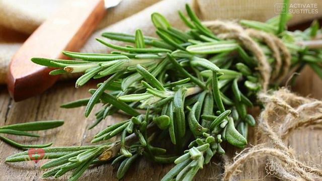 Varicose Vein Remedy: Improves Circulation and Memory in 7 Days! Vessel Cleansing смотреть онлайн