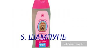 Что нужно перед появлением щенка в доме!!!