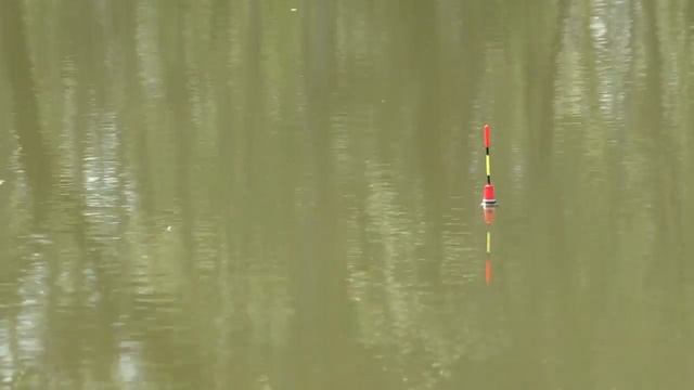 Карась в мае. Наедине с природой. Рыбалка в удовольствие! смотреть онлайн