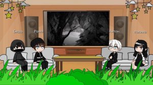 реакция зайчика на тт