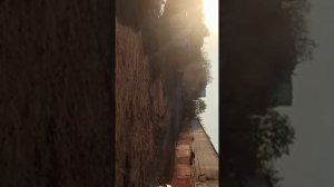 бмв е36 ремонт коробки передач.