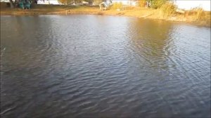 Фидерная рыбалка на карпа поздней осенью.  Прощание с летом