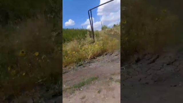 Саратовская область
Базарно-Карабулакский район
Село Хватовка ул Крестьянская.