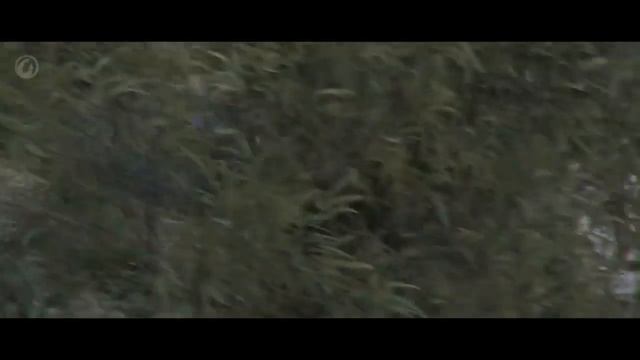 World Of Tanks — Возвращение Ваффентрагера  1час  слушать без перерыва