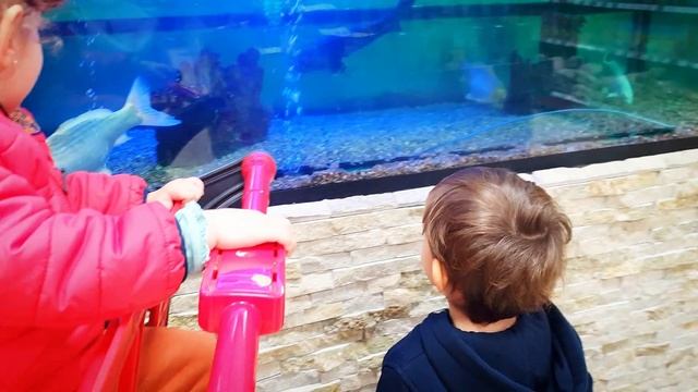 ТОЛЬКО по делам✅ мне НЕ СТРАШНО✅ как ДЕТИ ВСТРЕЧАЮТ✅Зехрашка ВСЁ рассказала ✅закуп ПРОДУКТОВ - ЦЕНЫ смотреть онлайн