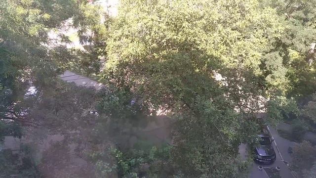 ЗАПОРОЖЬЕ НОВОСТИ НЕХОРОШИЕ 16.08.23 смотреть онлайн