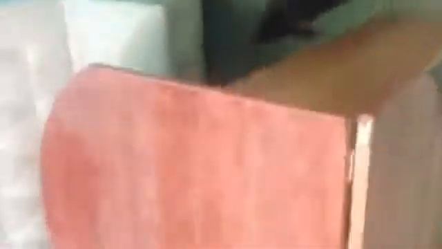 Собака такса кошка сиамская кот смотреть онлайн