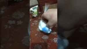 Волнистый попугай дерется