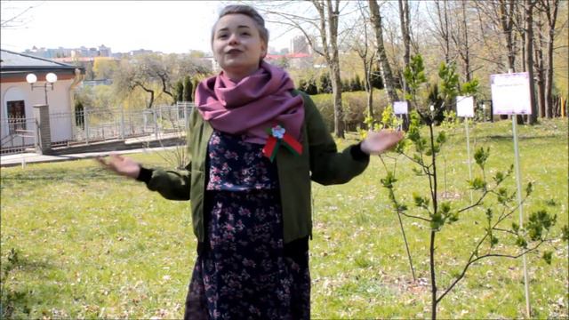 Сирень Победы смотреть онлайн