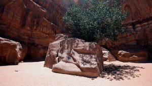 1 час лучшей расслабляющей музыки для глубокого сна, йога с видом на каньон