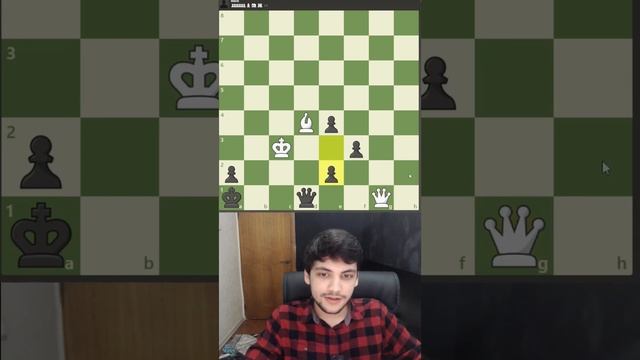 Очень красивая задача! Part 1 #hikaru #puzzle #шахматы #gothamchess #russiaisaterroriststate