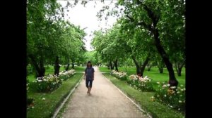 Весна в Коломенском.