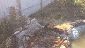 ПРУД/ЕСТЕСТВЕННЫЙ ФИЛЬТР