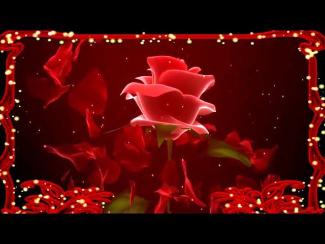 С ДНЕМ СВЯТОГО ВАЛЕНТИНА 2022 смотреть онлайн