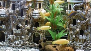 Необычный распылитель воздуха и воды для  аквариума. Насадка на фильтр.