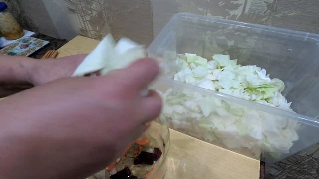 СУТОЧНАЯ ОСТРАЯ КАПУСТА "ПЕЛЮСТКА"