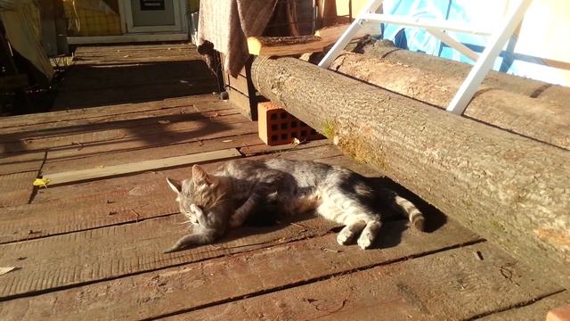 Железные нервы и методика воспитания смотреть онлайн