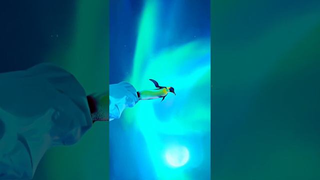 #cartoon смотреть онлайн