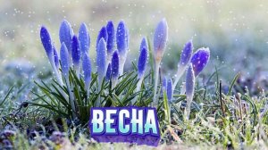 Футаж. Весна 19