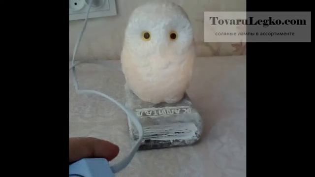 Лампа соль - Совенок на книге (3 кг) смотреть онлайн