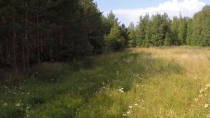 За Варзогоры - в сторону Нименьги