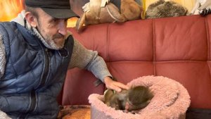 Мы стали оставлять Степашку в соседнем с Люсей вольере, посмотрите КАК они общаются)